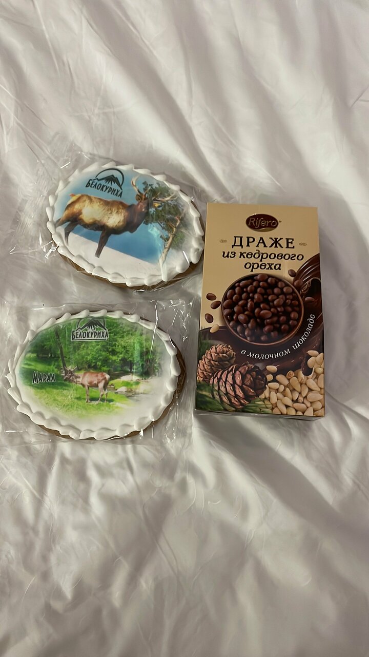 Гостиница Эхо Белокуриха-182