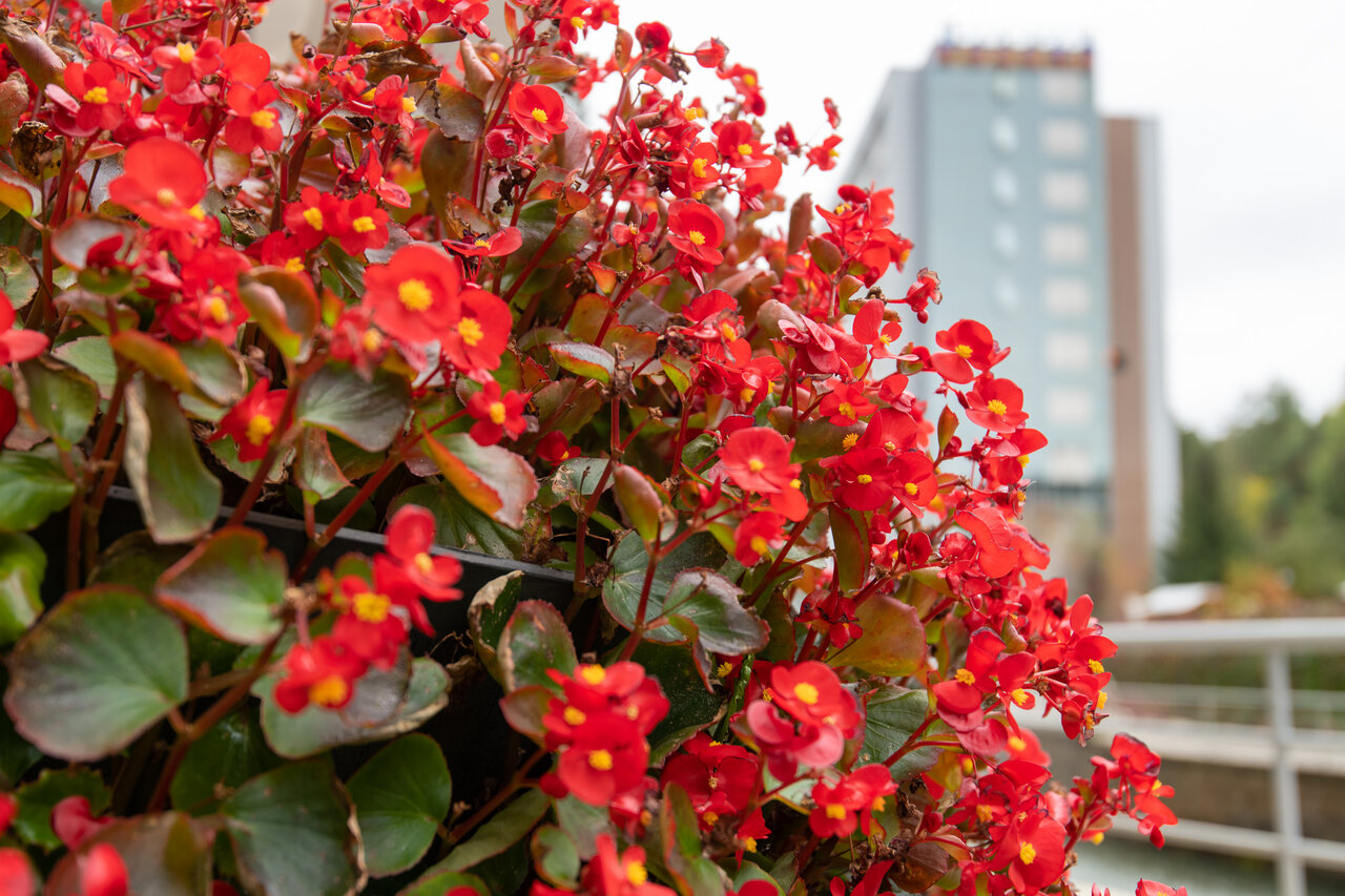 Гостиница Эхо Белокуриха-129