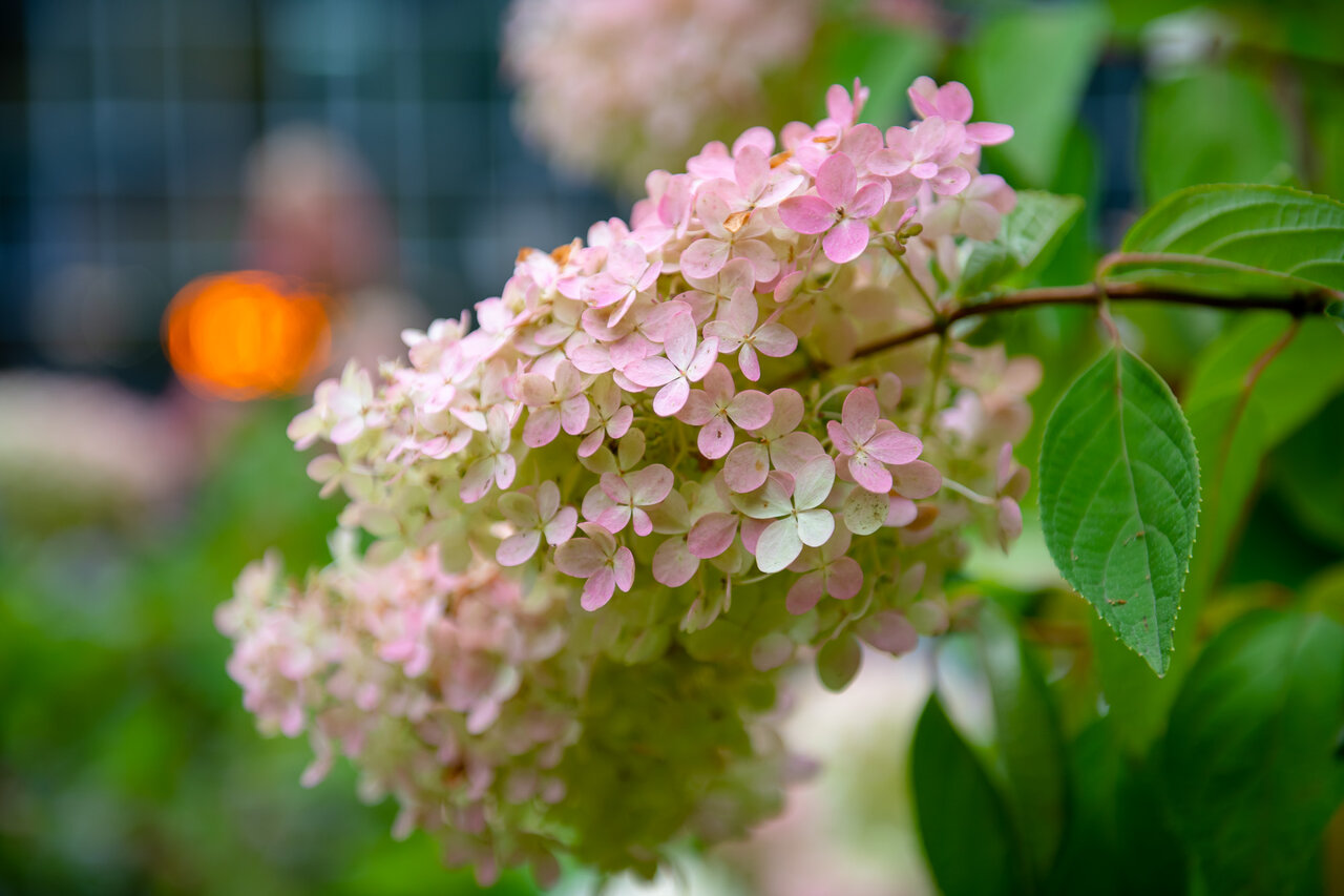 Гостиница Эхо Белокуриха-154