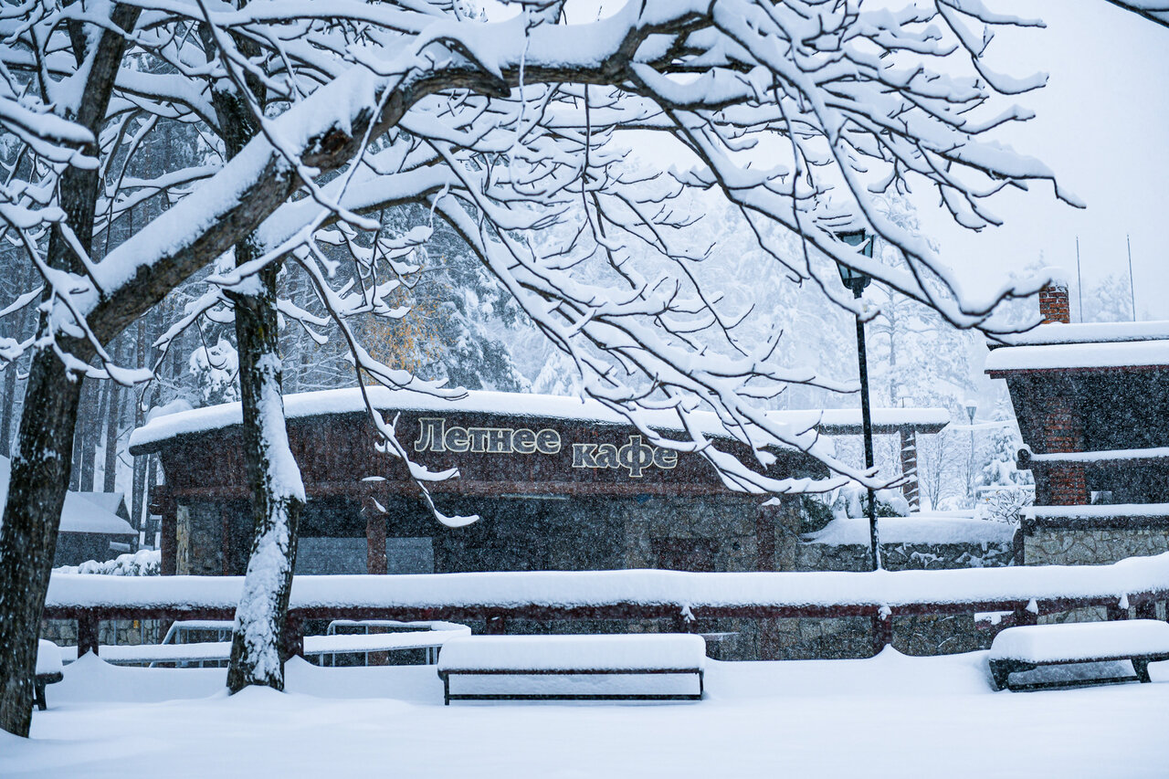 Гостиница Эхо Белокуриха-224