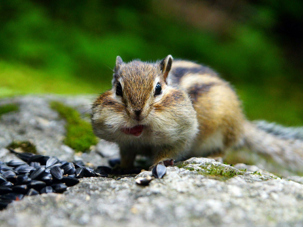 Гостиница Эхо Белокуриха-21