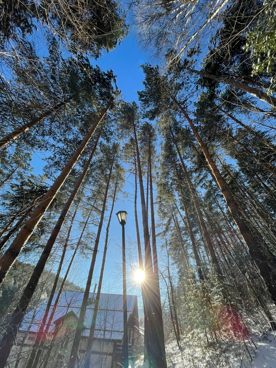 Гостиница Эхо Белокуриха-141