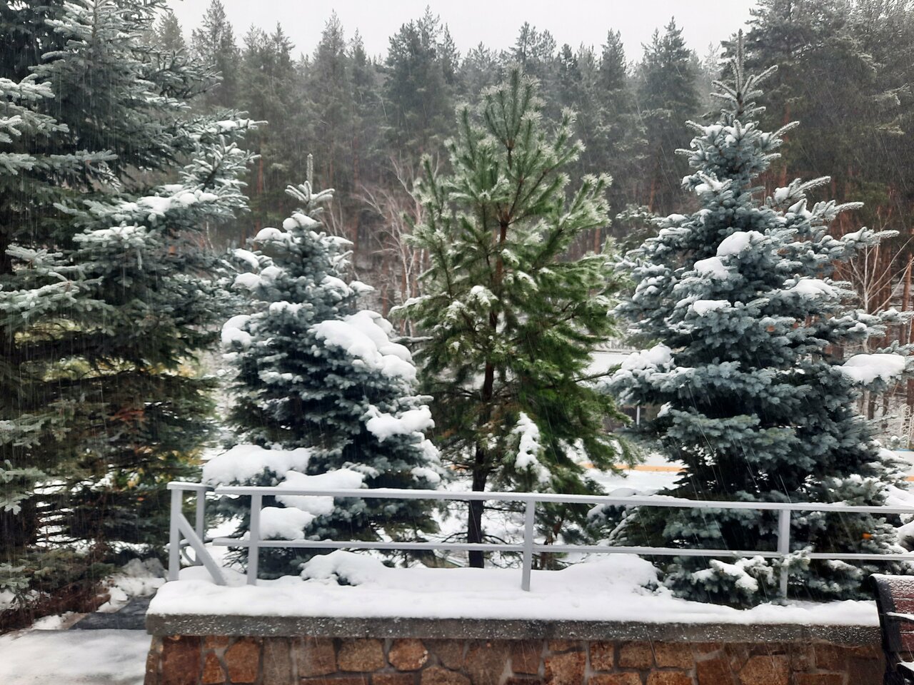 Гостиница Эхо Белокуриха-195