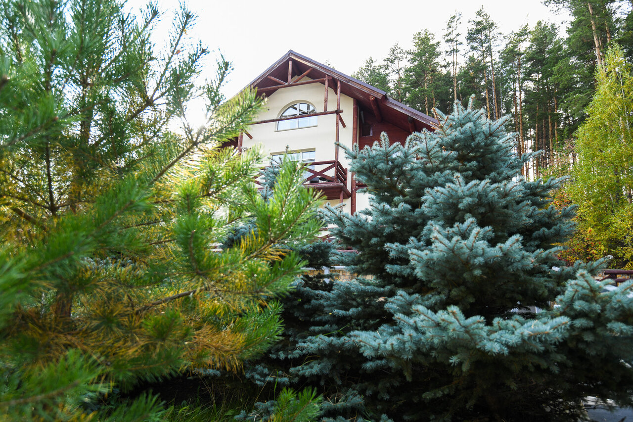 Гостиница Эхо Белокуриха-132