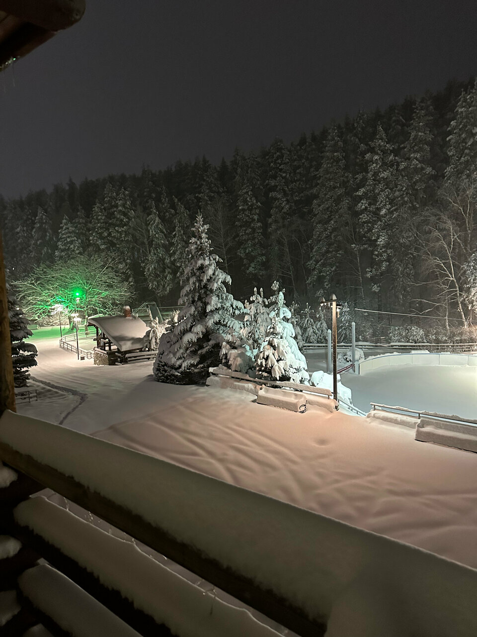 Гостиница Эхо Белокуриха-250