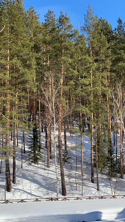 Гостиница Эхо Белокуриха-251