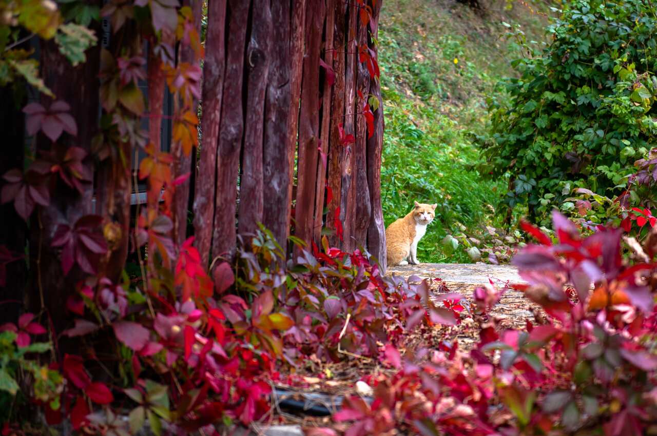 Гостиница Эхо Белокуриха-138