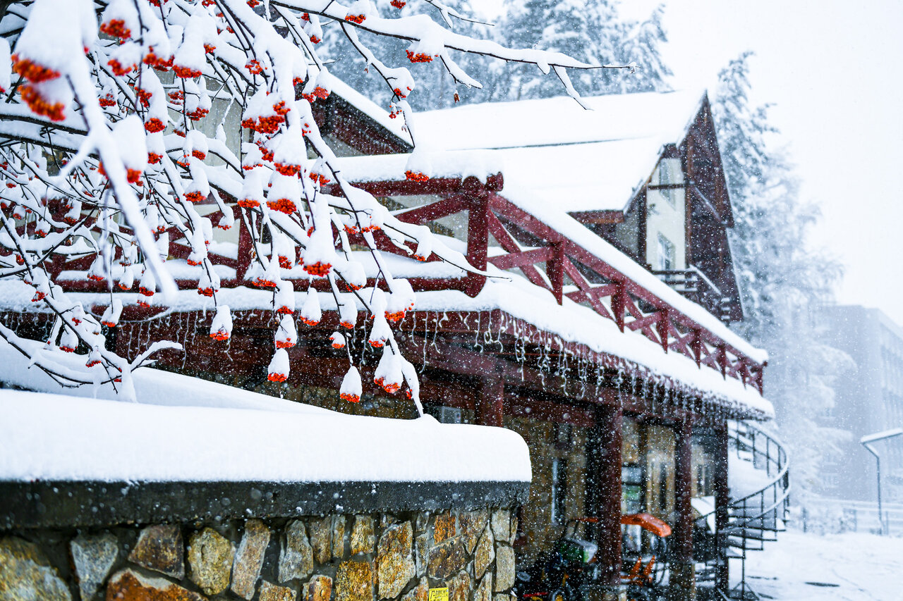 Гостиница Эхо Белокуриха-168