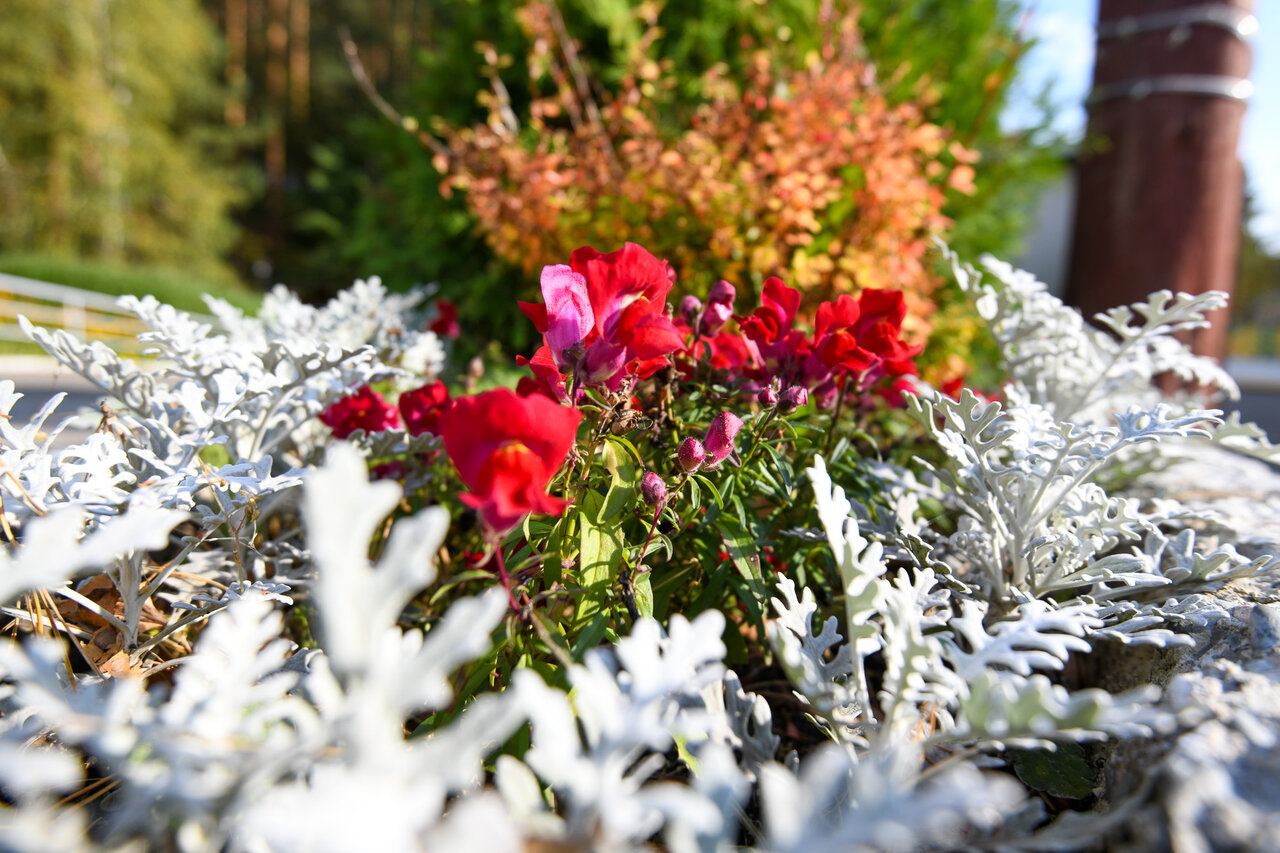 Гостиница Эхо Белокуриха-178