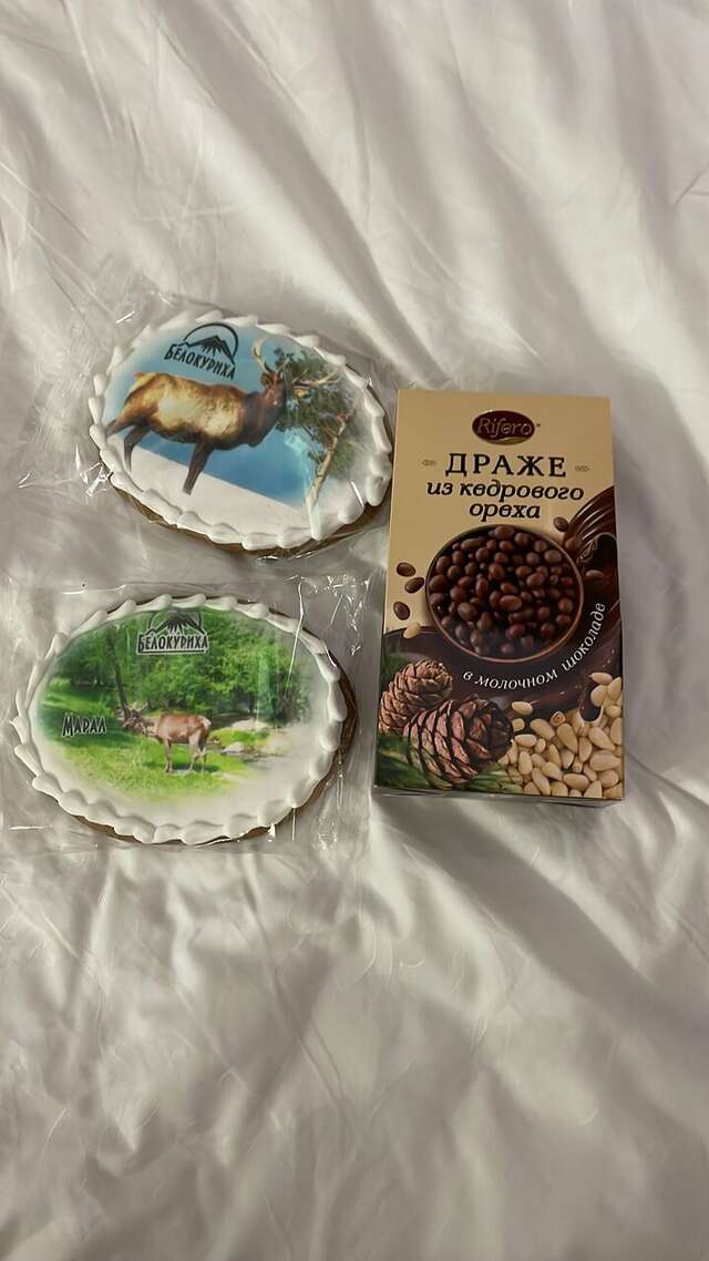 Гостиница Эхо Белокуриха-181