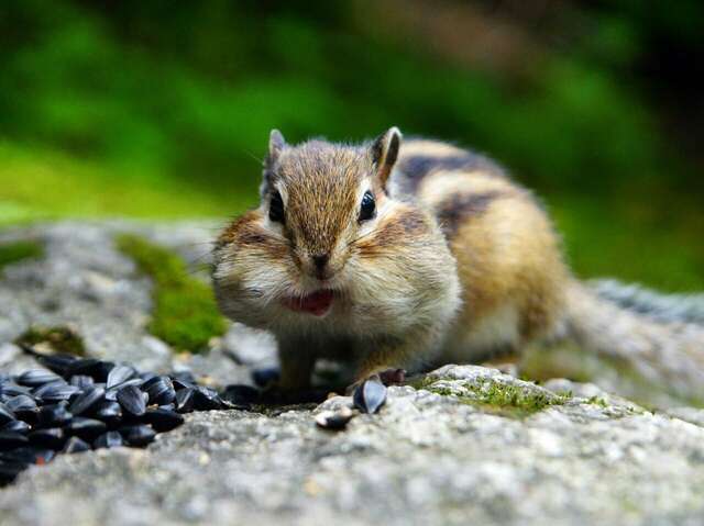 Гостиница Эхо Белокуриха-20