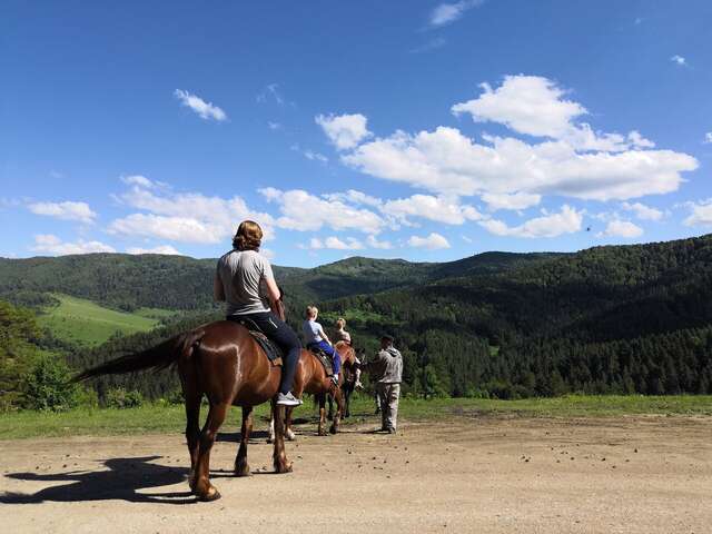 Гостиница Эхо Белокуриха-141