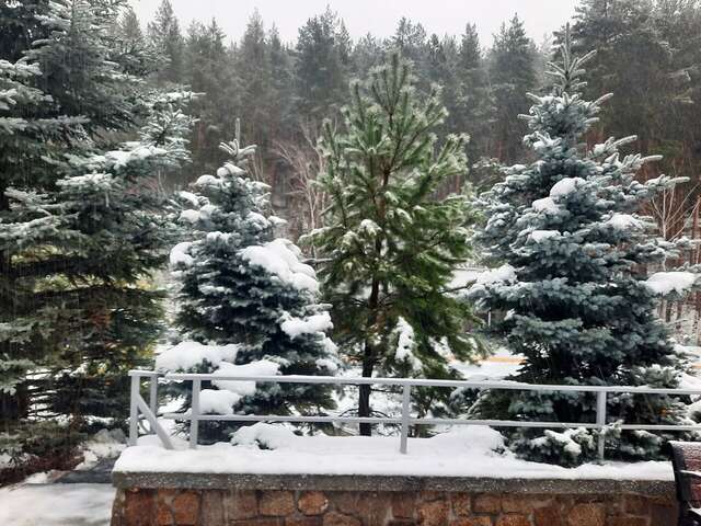 Гостиница Эхо Белокуриха-194