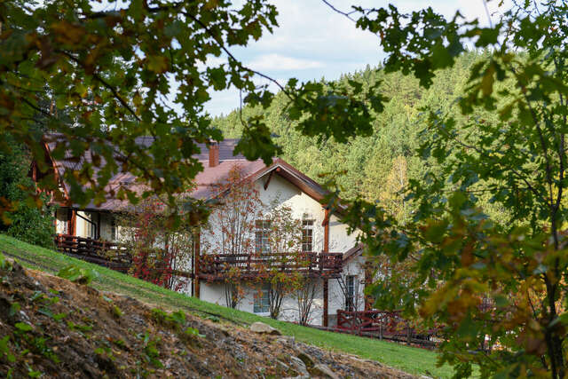 Гостиница Эхо Белокуриха-222