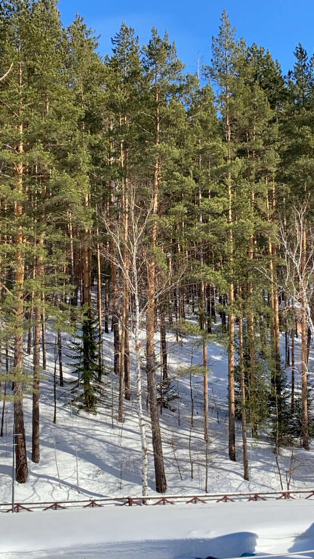 Гостиница Эхо Белокуриха-250