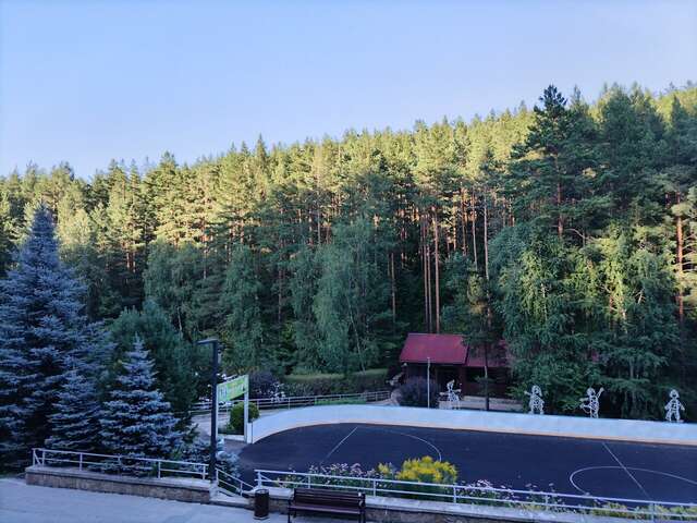 Гостиница Эхо Белокуриха-239