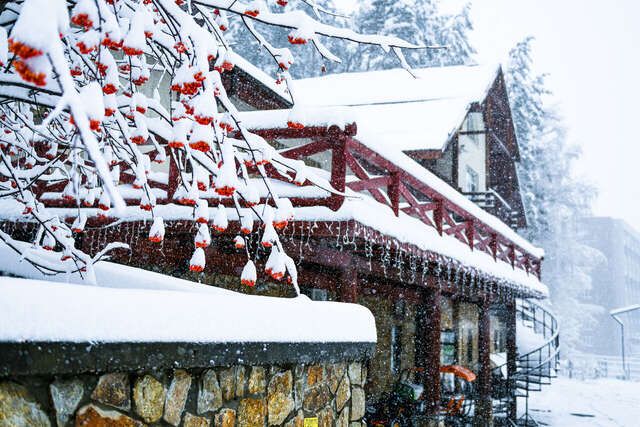 Гостиница Эхо Белокуриха-167