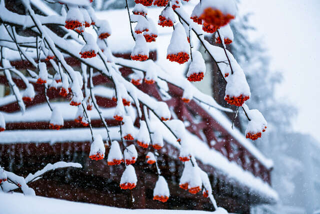 Гостиница Эхо Белокуриха-213